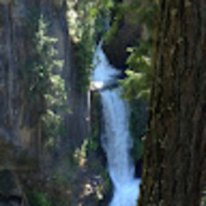 Meet your Posher, Sarina